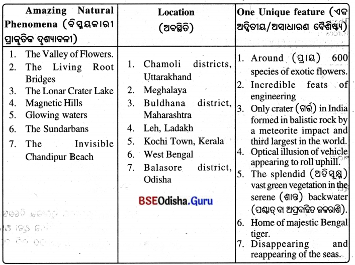 Spectacular Wonders Class 8 Question Answer English Jasmine Chapter 9.19