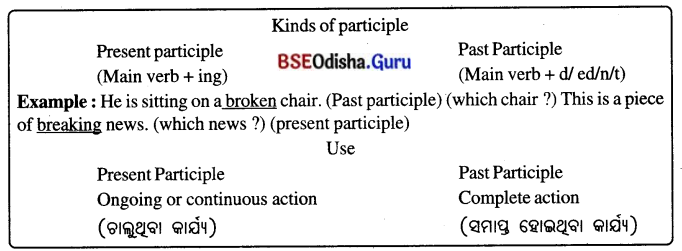 Spectacular Wonders Class 8 Question Answer English Jasmine Chapter 9.24