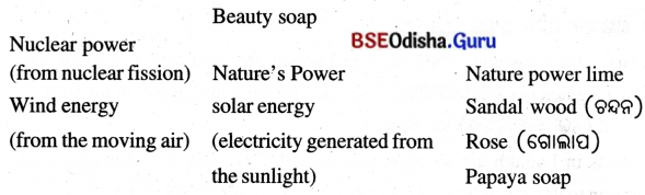 Spectacular Wonders Class 8 Question Answer English Jasmine Chapter 9.3