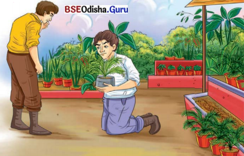 The Case of the Fifth Word Class 8 Question Answer English Jasmine Chapter 7.4