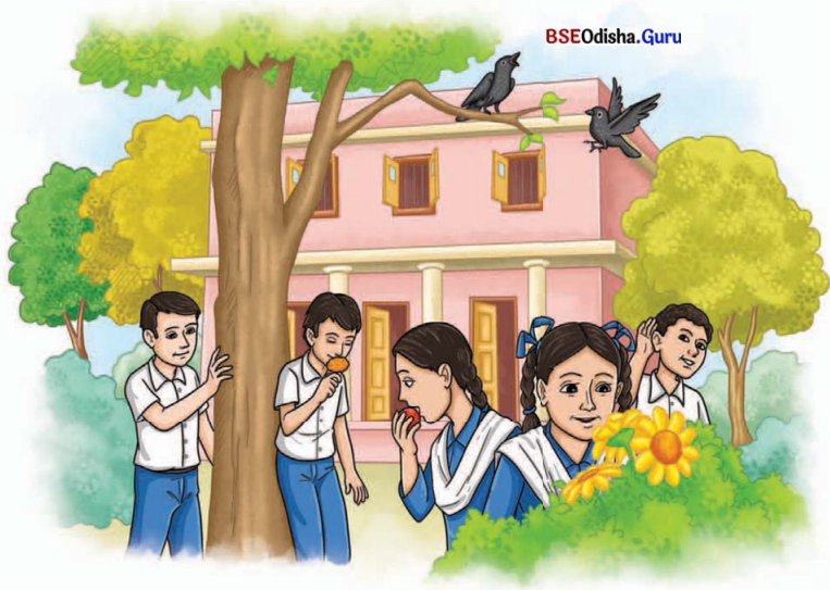 Three Days to See Class 7 Question Answer English Jasmine Chapter 3 1