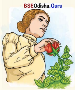 Three Days to See Class 7 Question Answer English Jasmine Chapter 3 2