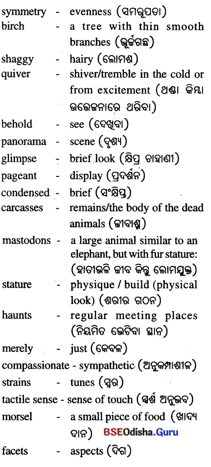 Three Days to See Class 7 Question Answer English Jasmine Chapter 3 3