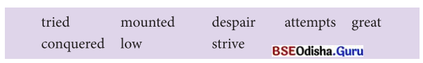 Try Again Class 7 Question Answer English Jasmine Chapter 2 5.5