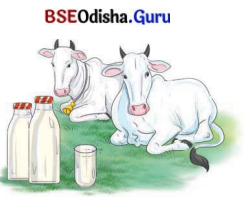 Verghese Kurien – I Too Had A Dream Class 8 Question Answer English Jasmine Chapter 6.17